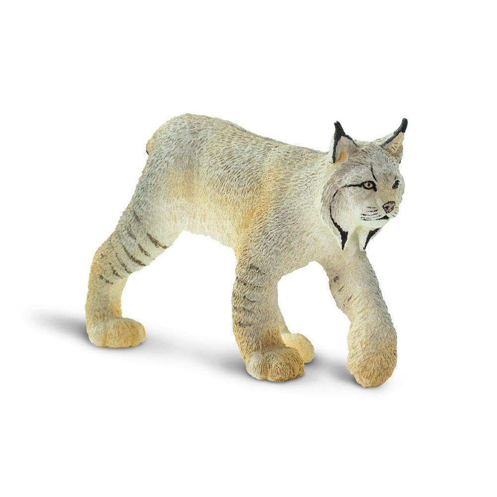 Safari, Toys & Figurines, Gifts, 641197, Lynx